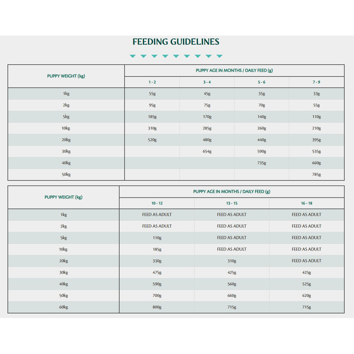 Tribal Puppy Turkey Dry Dog Food 5kg