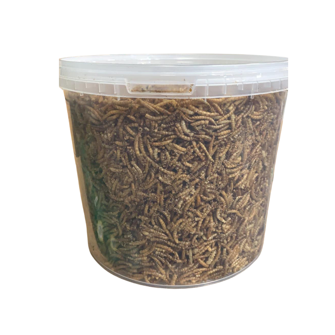 Rokers Wild Bird Food Tub - Mealworm 1kg