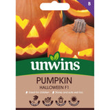 Unwins Pumpkin Halloween F1