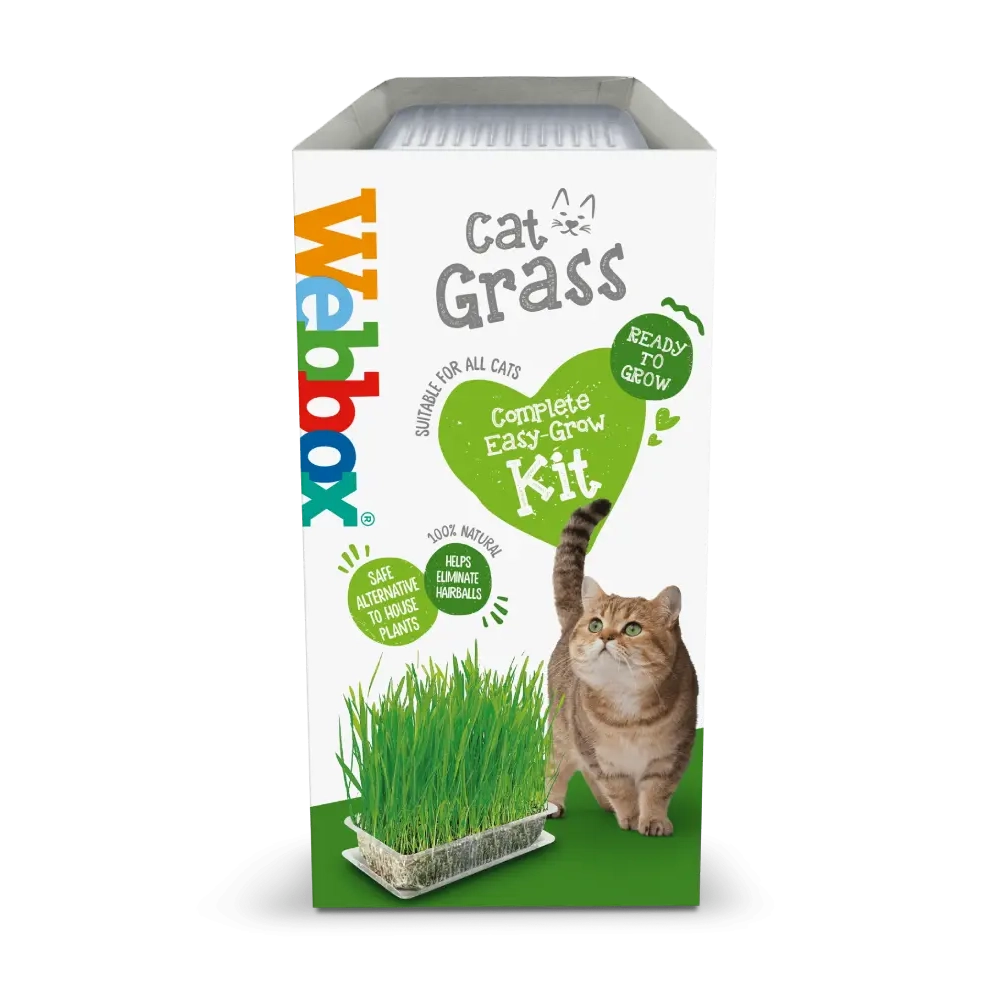 Webbox Cat Grass Complete Easy-Grow 120g