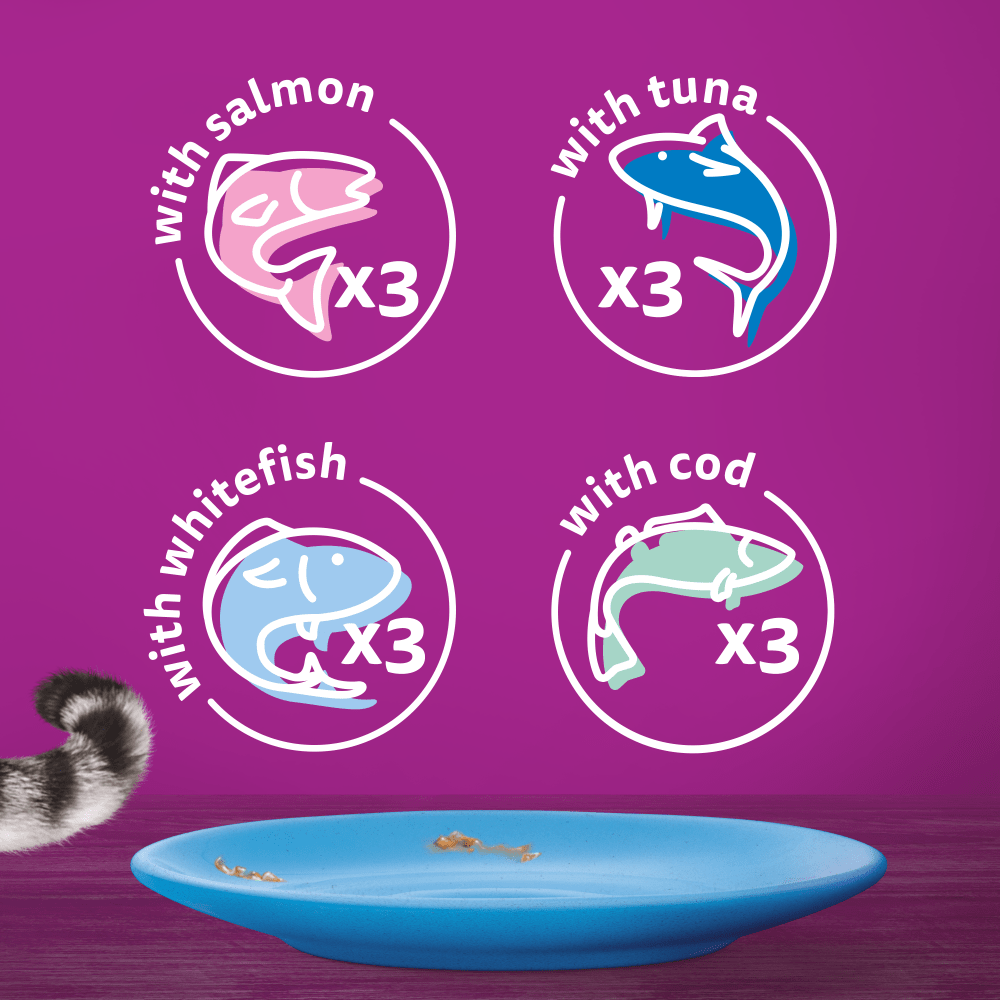 Whiskas 7+ Fish Favourites In Jelly Senior Wet Cat Food Pouches 12x85g