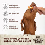 Zoe Better Bones Chicken Wrapped Large Rolls 10pk