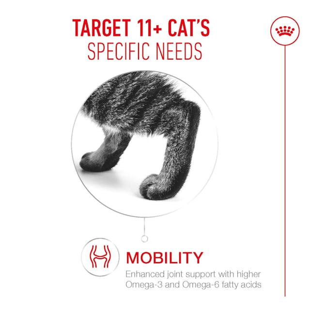 Royal Canin Cat - Pouch Box Ageing 11+ Jelly 12x85g