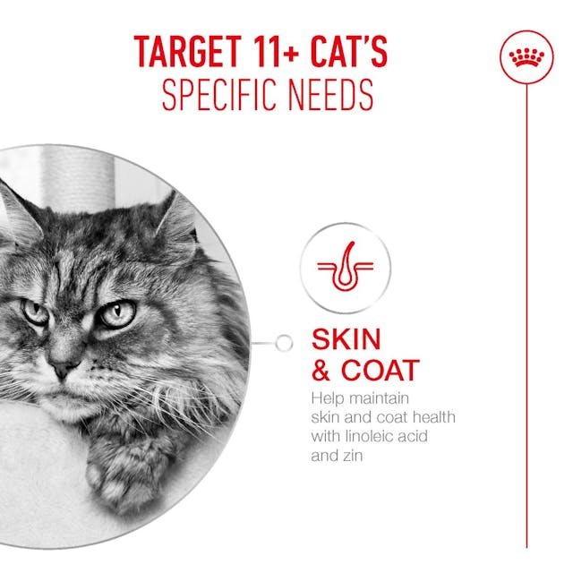 Royal Canin Cat - Pouch Box Ageing 11+ Jelly 12x85g