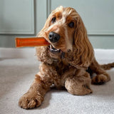 Brothies Beef Dog Chew Medium