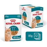 Royal Canin Cat - Pouch Box Ageing 11+ Jelly 12x85g