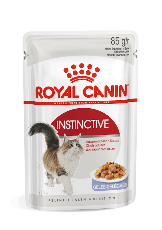 Royal Canin Cat - Pouch Box Instinctive In Jelly 12x85g