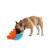 All For Paws Lick A Crab