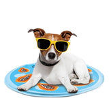 All For Paws Chill Out Papaya Cooling Mat