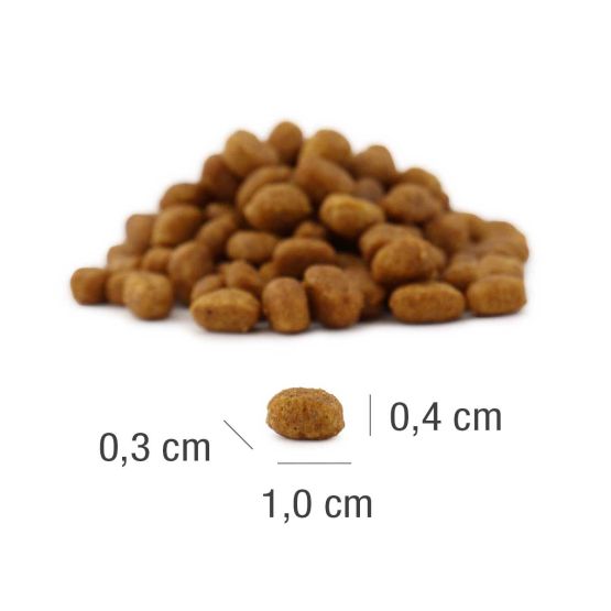 Platinum Cat - MeatCrisp Kitten Fish 1.5kg