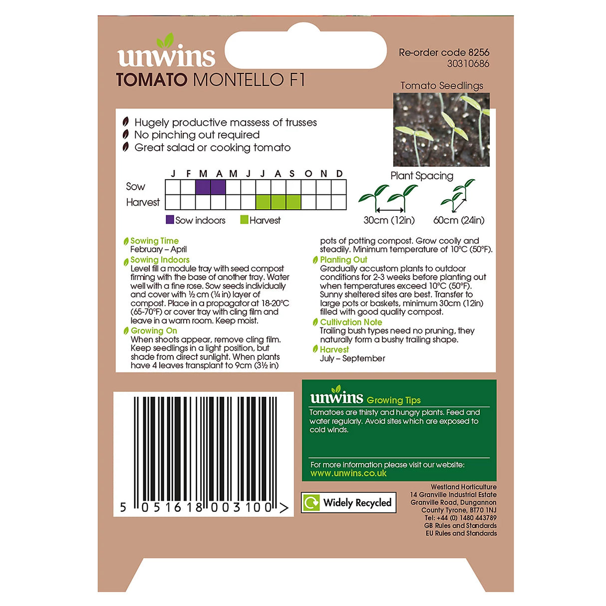Unwins Tomato (Cherry Plum) Montello F1