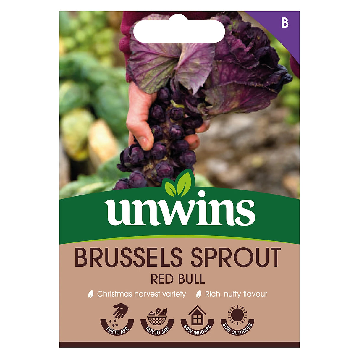 Unwins Brussels Sprout Red Bull