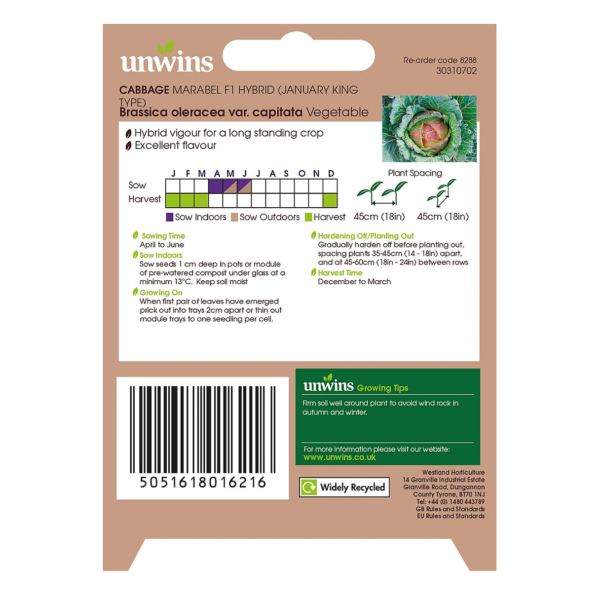 Unwins Cabbage Marabel F1 Hybrind (January King Type)