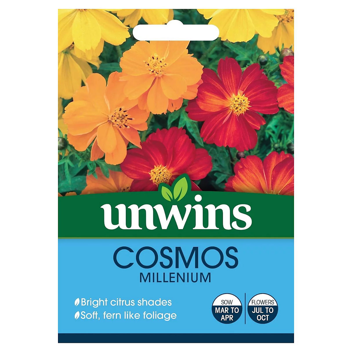 Unwins Cosmos Millennium