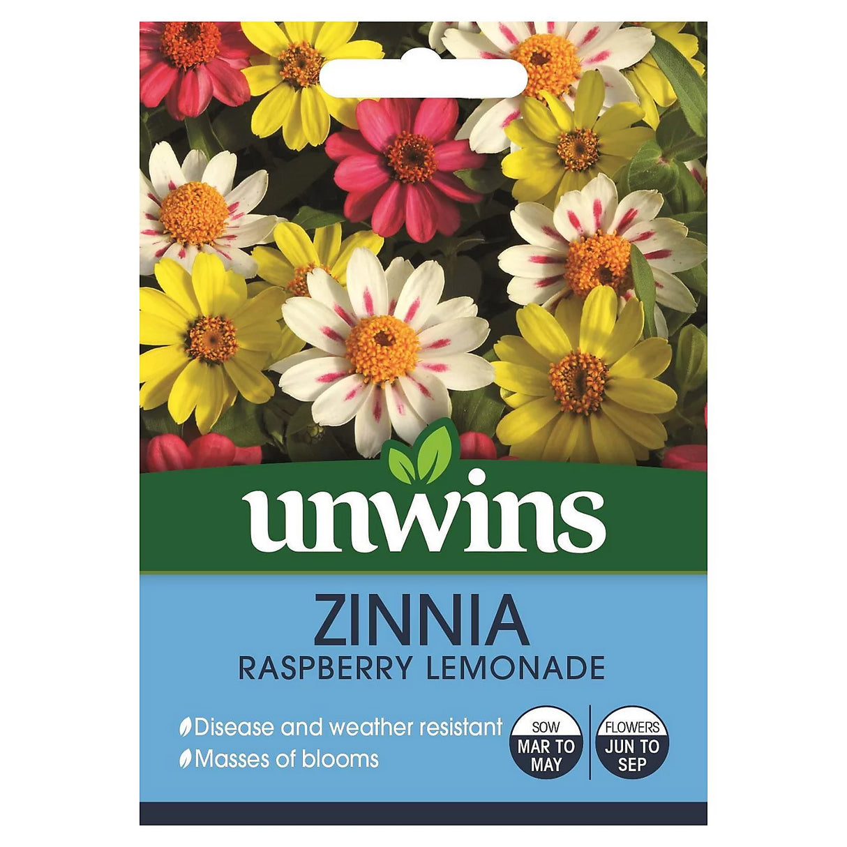 Unwins Zinnia Raspberry Lemonade