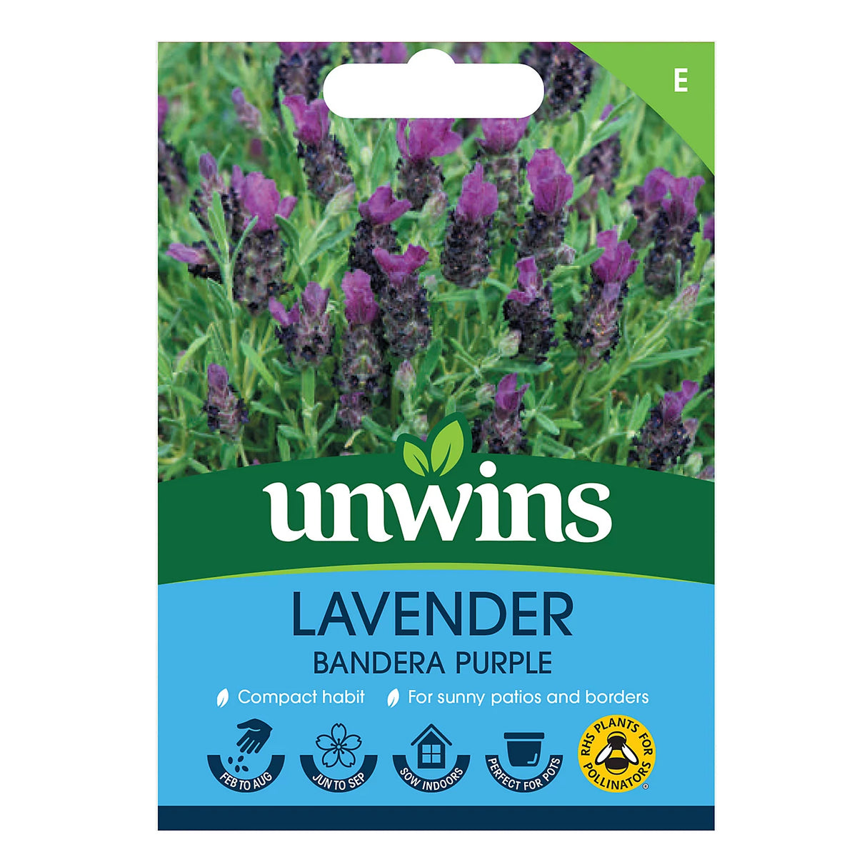 Unwins Lavender Bandera Deep Purple