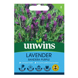 Unwins Lavender Bandera Deep Purple