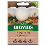 Unwins Pumpkin Polar Bear F1