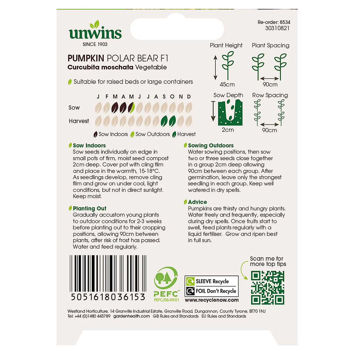 Unwins Pumpkin Polar Bear F1