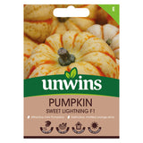 Unwins Pumpkin Sweet Lightning F1