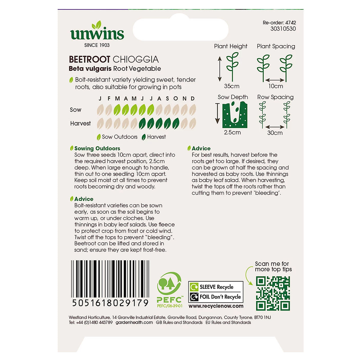 Unwins Beetroot Chioggia