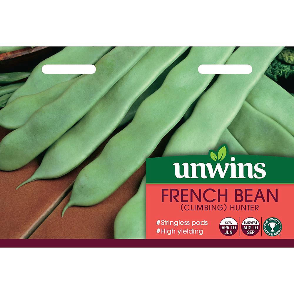 Unwins French Bean (Climbing) Hunter