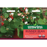 Unwins Runner Bean Jackpot Dwarf