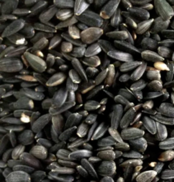 Picture of Colonels Black Sunflower Seed 12.75kg