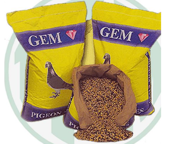 Picture of Gem Pigeon YB No Maize 25kg