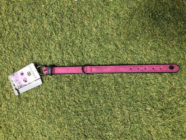 Picture of James & Steel Brights Tech Collar Pink X Small