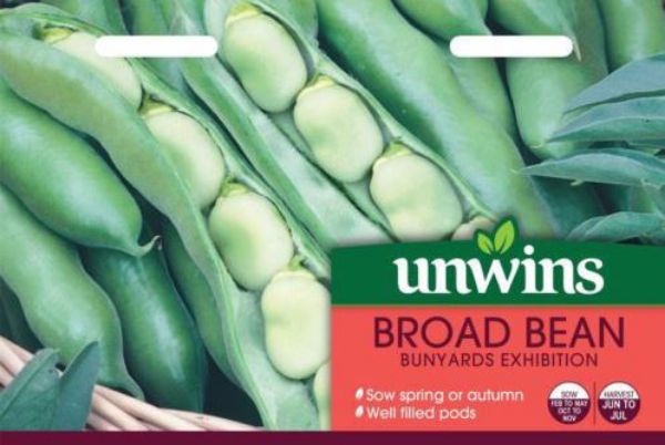 Picture of Unwins Broad Bean Bunyards Exhibition Seeds