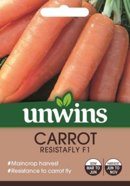 Picture of Unwins Carrot Resistafly F1 Seeds