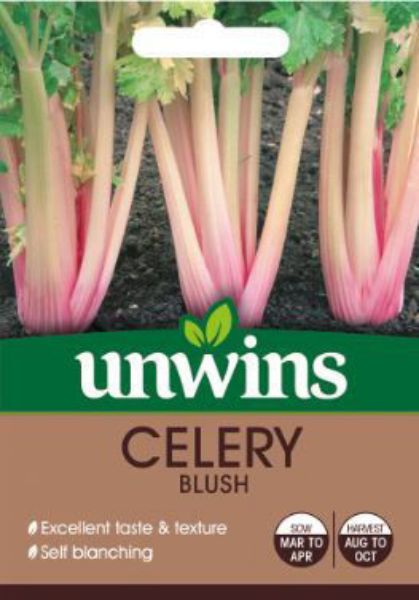 Picture of Unwins Celery Blush Seeds