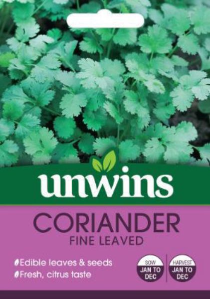 Picture of Unwins Herb Coriander Fine Leaved  Seeds