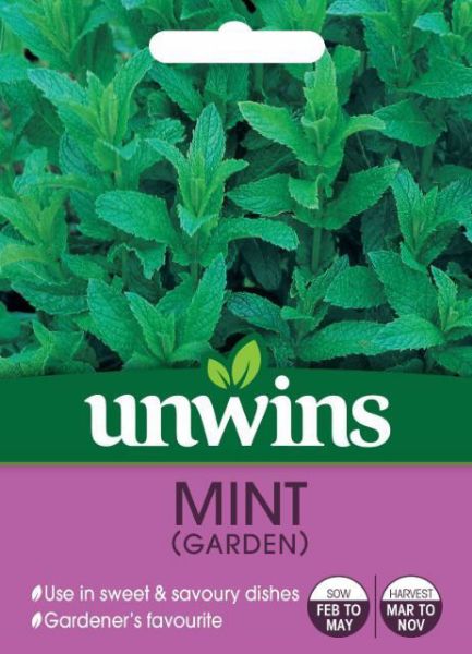 Picture of Unwins Herb Mint (Garden) Seeds