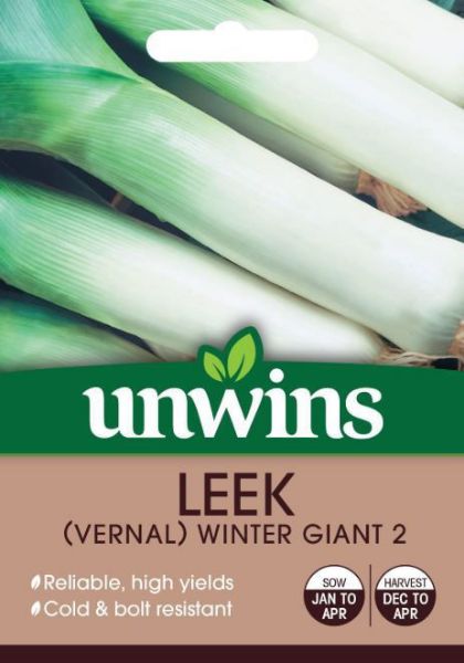 Picture of Unwins Leek (Vernal) Winter Giant 2 Seeds