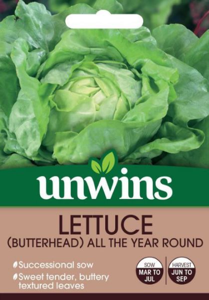Picture of Unwins Lettuce (Butterhead) All The Year Round Seeds