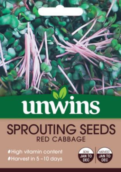 Picture of Unwins Sprouting Seeds Red Cabbage Seeds