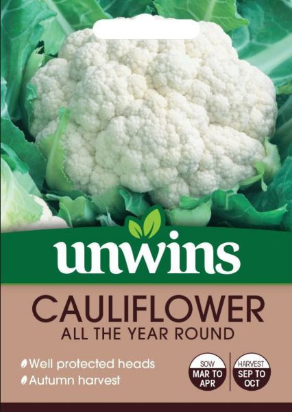 Picture of Unwins Cauliflower All The Year Round Seeds