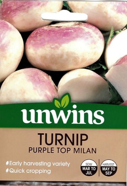 Picture of Unwins Turnip Purple Top Milan Seeds