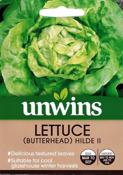 Picture of Unwins Lettuce (Butterhead) Hilde II Seeds