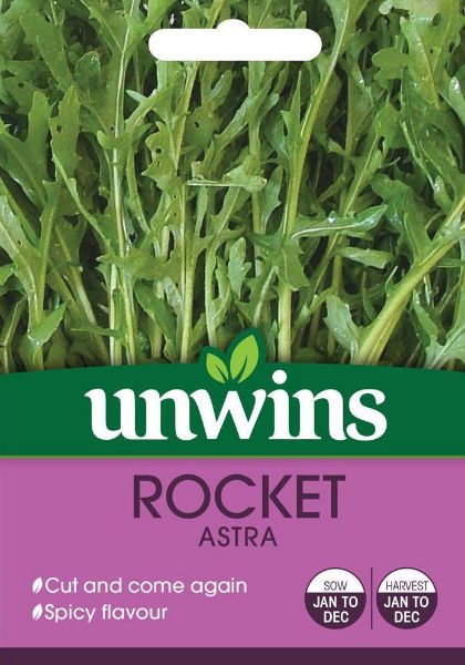 Picture of Unwins Herb Rocket Astra Seeds