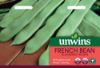 Picture of Unwins French Bean Climbing Hunter Seeds