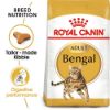 Picture of Royal Canin Cat - Bengal 400g