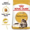 Picture of Royal Canin Cat - Maine Coon 4kg