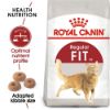 Picture of Royal Canin Cat - Fit 32 2kg