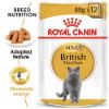 Picture of Royal Canin Cat - Pouch Box British Shorthair In Gravy 12x85g
