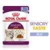 Picture of Royal Canin Cat - Pouch Box Sensory In Jelly - Taste 12x85g