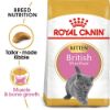 Picture of Royal Canin Cat - Kitten British Shorthair 400g