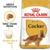 Picture of Royal Canin Dog - Cocker Adult 3kg